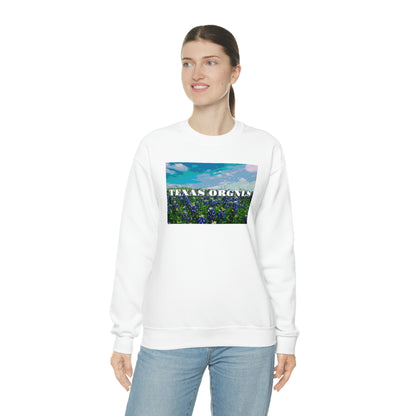 Unisex Texas Orgnls “Cotton Candy Skies” Crewneck Sweatshirt